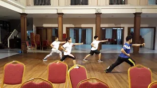 SAN LU QUAN wushu Taolu  - for BEGINNERS