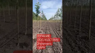 🌿 Как мы создаем чистоту в полях