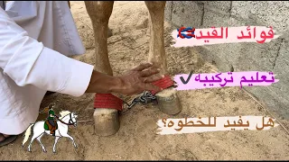 # فلوق (73) تركيب القيد وفوائده وما الغرض منه ؟