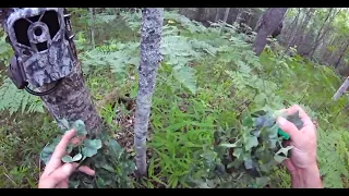 MASSIVE FEMALE BIGFOOT WITH BABY ON GO-PRO!! - Setting Up Trial Cam Sasquatch With Infant Filmed!!