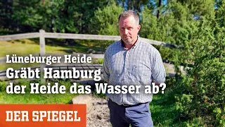 Hamburg und das Wasser der Heide: Der große Durst der Städter | DER SPIEGEL