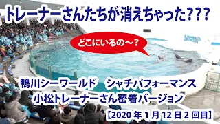 トレーナーさんたちが消えちゃった？？？　小松トレーナーさん密着バージョン【2020年1月12日2回目　鴨川シーワールド　シャチパフォーマンス】