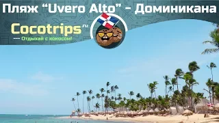 Доминиканская Республика - пляж Уверо Альто - лучшие пляжи Пунта Каны [Доминикана] - Youtube