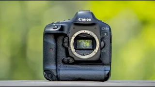 The Canon 1DX – Does this DINO still BITE??