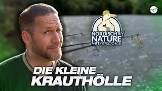 Ob Björn Brockmann blankt? Karpfenangeln am Krautsee