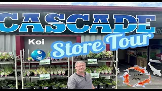 Cascade Koi Store Tour