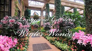 Longwood Gardens Winter Wonder - Full Tour🥰🪴🌺💐🌷