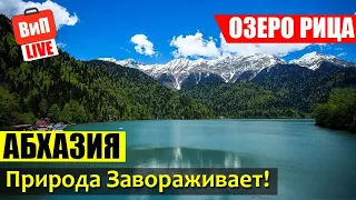 Озеро Рица | Абхазия, водопады Гегский, Молочный и Мужские Слезы, Юпшарское ущелье, сыроварня, влог