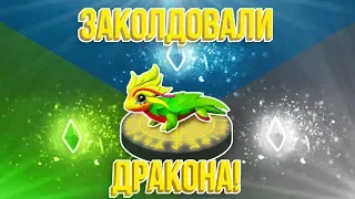 Легенды Дракономании. ЗАКОЛДОВАЛИ ДРАКОНА ПИТАЙЮ!