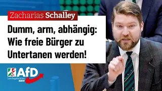 Dumm, arm, abhängig: Wie sich die Politik Bürger wünscht! – Zacharias Schalley (AfD)