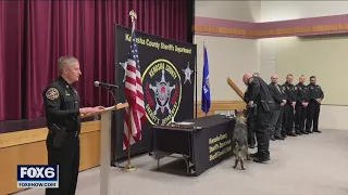 K-9 Riggs honored with Silver Star | FOX6 News Milwaukee