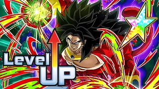 100% TEQ SSJ4 BROLY SHOWCASE! | Dragon Ball Z Dokkan Battle