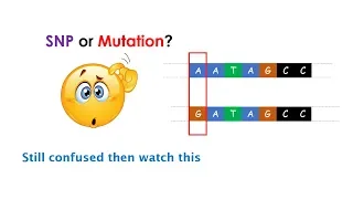 Difference between SNP and Mutation? Clear the differences between two