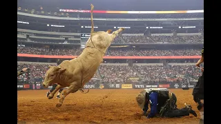 Meet Your 2024 PBR YETI World Champion Bucking Bull: The one and only MAN HATER