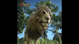 Lion Games Animal Simulator 3D