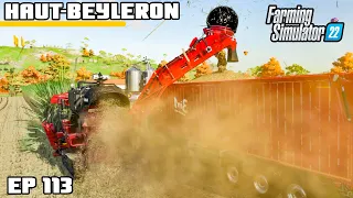 £17,500 to make £150,000? | Farming Simulator 22 - Haut-Beyleron | Episode 113