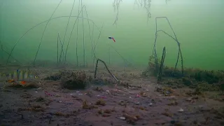 Зима под водой! Подводные съемки!