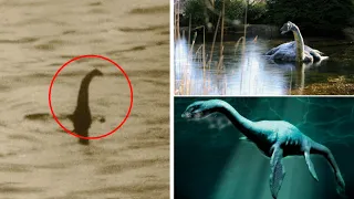 Loch Ness Monster found As Sonar Image Shows Massive Underwater Creature