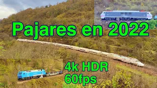 Trenes en la Rampa de Pajares / Noviembre 2022