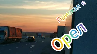 Доехал до Орла. Первые жуки на лобовом 😁