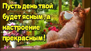 🌷🌞💗Самого доброго весеннего утра!💗Благословенного дня!🌷🌞Красивая музыкальная открытка+