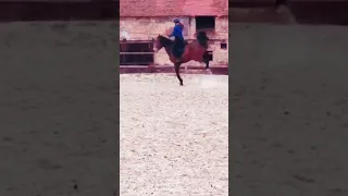 My fail from 2021 # #horse #edit #horseriding #fail #funny #horsefail #dumbways #mare