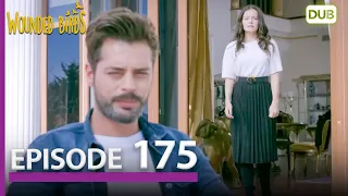 Wounded Birds Episode 175 - Urdu Dubbed | Turkish Drama