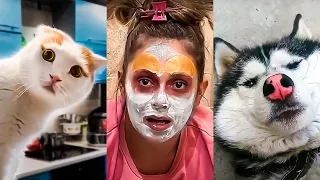 ЛУЧШИЕ ПРИКОЛЫ из ТИК ТОК / ЛУЧШИЕ ВИДЕО TIK TOK #10