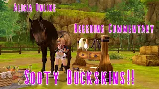 |Alicia Online Breeding| - Commentary with Voice- Breeding for the NEW Sooty Buckskin!