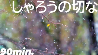 【90分】しゃろうの切な［音フェチ］