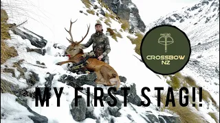 MY FIRST EVER STAG!! - Crossbow hunting NZ (public land)
