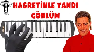 Edip Akbayram - Hasretinle Yandı Gönlüm / Melodika Adam