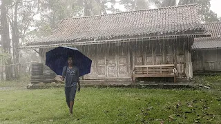 Walk in Heavy Rain and Storms in Rural Indonesia | ASMR, Nature Sounds for Sleep