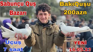 Sabunçu Quş Bazarı 14 may 2023 Bakı quşları 200 azn