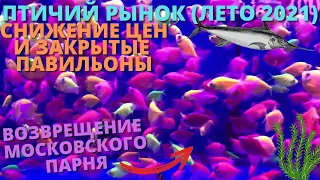 ПТИЧИЙ РЫНОК САДОВОД МОСКВА (ЛЕТО 2021) l СНИЖЕНИЕ ЦЕН И ЗАКРЫТЫЕ ПАВИЛЬОНЫ l РЫБЫ, РАСТЕНИЯ, КОРМА