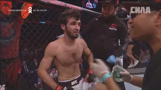 Zabit magomedsharipov vs moraes