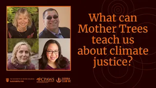 What can Mother Trees teach us about climate justice?