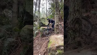 Some of the only rocks in Rotorua #mtb #shorts