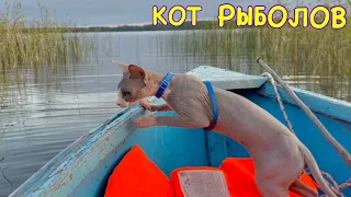 КОТ ПОЙМАЛ РЫБУ 🎣🙀 Kot Million