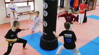 Тренировка скорости и силы удара в каратэ. Karate training.