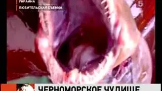 shark attack 3 Black Sea нападение акул 3 Чёрное Море