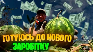 ☑️ГОТУЄМОСЬ ДО нового ЗАРОБІТКУ, для цього збираю кавуни з поля...