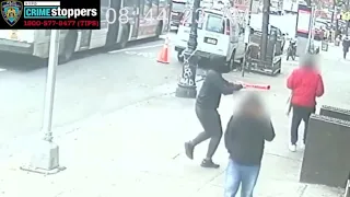 CAUGHT ON CAMERA: Shocking New York Bat Attack