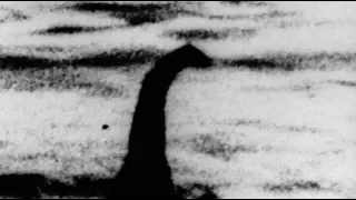 Legend of Loch Ness Monster will be tested with DNA samples