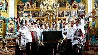 Зі святом Покрови Пресвятої Богородиці!"Через поле України ішла Божа Мати..."