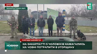 🙉НА ЧОВНІ В УГОРЩИНУ: на Закарпатті прикордонники затримали п'ятьох ухилянтів