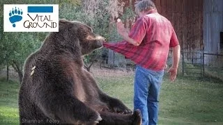 A Man with a Grizzly Bear!