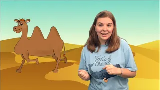 Sally the Camel | Storytime Song