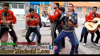 Show Mariachi Loco, Mariachi Juvenil Nuestra Tierra, WhatsApp 3143083029 Bogotá DC.