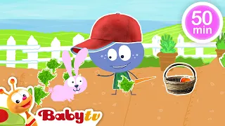 Vegetable Garden 🍅​🥒​+ More Best Episodes, Kids Songs & Rhymes | Videos for Toddlers @BabyTV